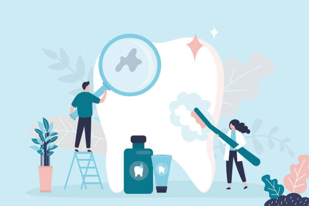Professional  Holistic Dental Services in Hayfield, MN